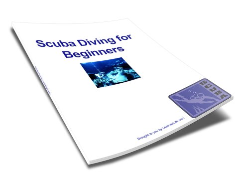 Scuba Diving