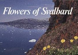 flowers of svalbard