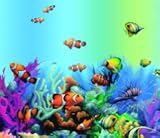 Blue Lagoon Tropical Fish SHOWER CURTAIN fabri bathroom Blue Lagoon Tropical Fish SHOWER CURTAIN fabri bathroom