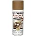 Rust-Oleum 239122 Multi-Color Textured Spray, Rustic Umber, 12-Ounce