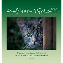 Auf leisen Pfoten 2008: Postkartenkalender