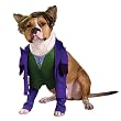 Batman Dark Knight The Joker Pet Costume - Pet Costumes