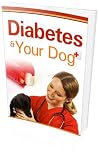 Diabetes And Your Dog