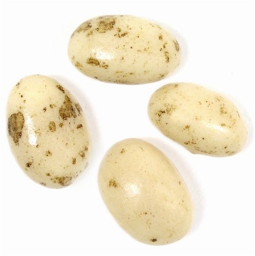 Jelly Bean Toasted Marshmallow by Oh! Nuts