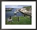 Ballintoy Harbour, County Antrim, Ulster, Northern Ireland, United Kingdom Framed Art Poster Print by Roy Rainford, 22x18