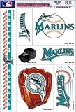 Set of Team Window Clings: Houston Astros