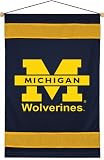 NCAA Michigan Wolverines Sidelines Wall Hang