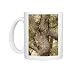 Trunk of Alligator Juniper Photo Mugs
