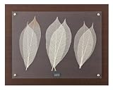 �C���e���A�f�R LEAF(���[�t)0007 IN 0007