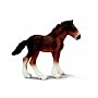 Schleich Shire Foal