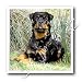 Dogs Rottweiler - Rottweiler - Iron on Heat Transfers
