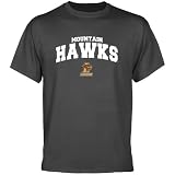 NCAA Lehigh Mountain Hawks Charcoal Logo Arch T-shirt