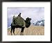 Tadjik Camel Driver on the Silk Road, China Lonely Planet Collection Framed Art Poste...