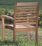 Adirondack Chair