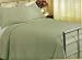 Classic Cotton Sateen Quilt Coverlet, King, Green