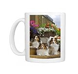 Photo Mugs of Shetland Sheepdogs, three lying on garden stairs from Ardea Wildlife Pets