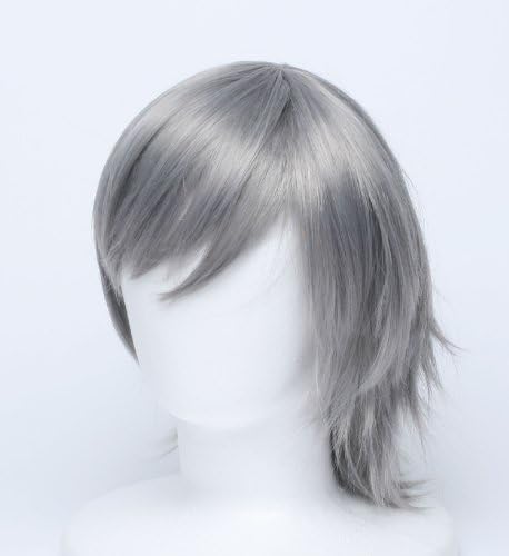 [Cosplay] wig Nagisa Kaoru wind WIG costume tool accessory Neon Genesis Evangelion silver hair heat high quality wig net with (japan import)
