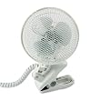 9 Oscillating Personal Clip Fan, Metal Grille, 2-Speed, White