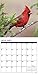 Cardinals 2017 Wall Calendar