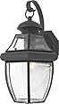 Quoizel NY8316K Newbury Light Outdoor Wall Lantern, Mystic Black