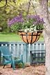 Living Accents Hanging Basket (88551)