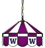 Washington Huskies 16