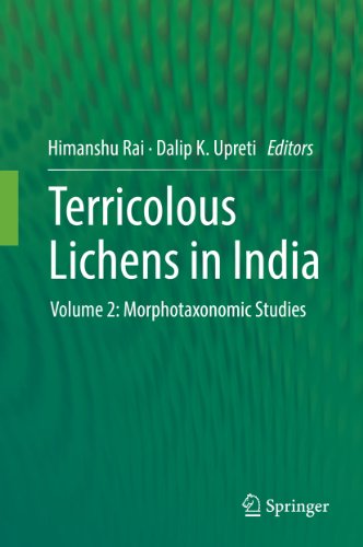 Terricolous Lichens in India: Volume 2: Morphotaxonomic Studies