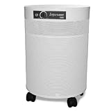 Airpura H600 Particle Filtration Air Purifier