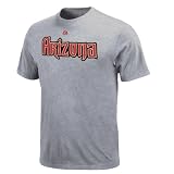 MLB Justin Upton Arizona Diamondbacks Youth Short Sleeve Basic Tee (Steel Heather, Medium)