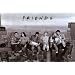 (24x36) Friends (Lunch on Skyscraper) TV Poster Print