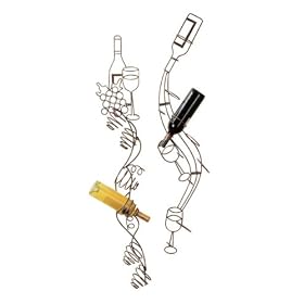 Set of 2 Chic Wire-Form Wall Mounted Wine Bottle Racks by CC Home Furnishings
