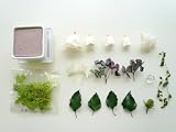 金〔gon〕ミニ アレンジキット 【あなたを輝かせるフラワー風水 Florist S.F.D】 -プリザーブドフラワー 贈物やご自宅のインテリアにどうぞ