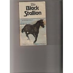 Black Stallion