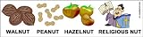 Walnut Peanut Hazelnut Religious Nut. -Bumper Sticker