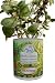 Gifts That Bloom ~ Herb Garden