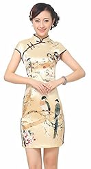 Rayon/Silk Lace Cap Sleeves Mini Dress 