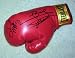FLOYD MAYWEATHER JR & MANNY PACQUIAO signed BOXING Glove !