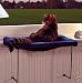 KATZE KATZENLIEGE / KATZENBETT / HEIZUNGSLIEGE ... B000N2WI8W
