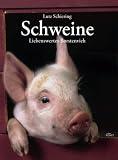 Schweine: Liebenswertes Borstenvieh
