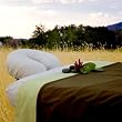 Country Meadow Theme Massage Table Sheet Set with Blanket
