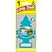 Little Trees Cardboard Hanging Car, Home & Office Air Freshener, Rainforest Mist
