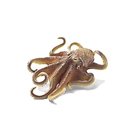 Schleich Giant Octopus
