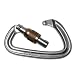 Black Diamond Positron Screwgate Carabiner (Mocha) - Standard