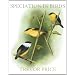 Speciation in Birds