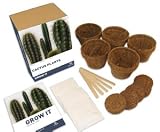 Grow It - Cactus Gift Box
