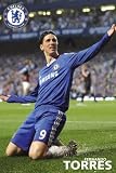 (24x36) Chelsea FC Fernando Torres Celebration Sports Poster Print