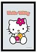 Hello Kitty - Bar Mirror (Kitty & Flowers) (Size: 9" x 12")