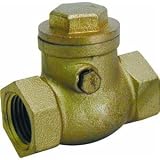1/2BRS Swing CHK Valve