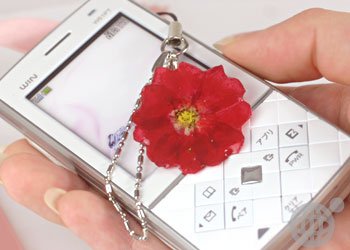 Cover image : 美しい生花で作られた誕生花**リアルフラワー携帯ストラップ(7月/なでしこ)