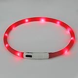 Dog Collar, Itery Led USB Rechargeable Pet Safety Collar Waterproof Light up Adjustable Flashing Collar (Red)